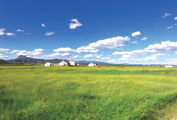 　　2022年，盛夏的敕勒川草原