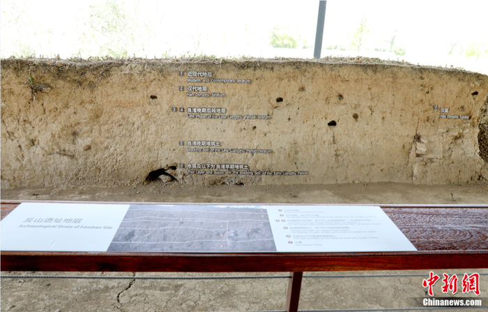 反山遗址地层。柱子 摄