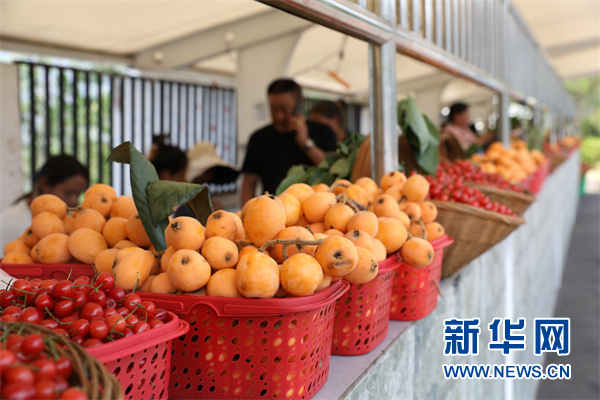 农特产品销售专区的水果。新华网 周远钢 摄