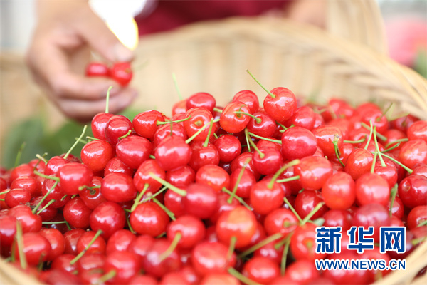 农特产品销售专区的水果。新华网 周远钢 摄