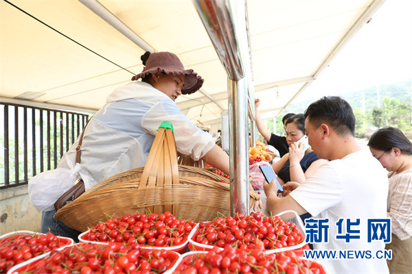 顾客购买水果。新华网 周远钢 摄