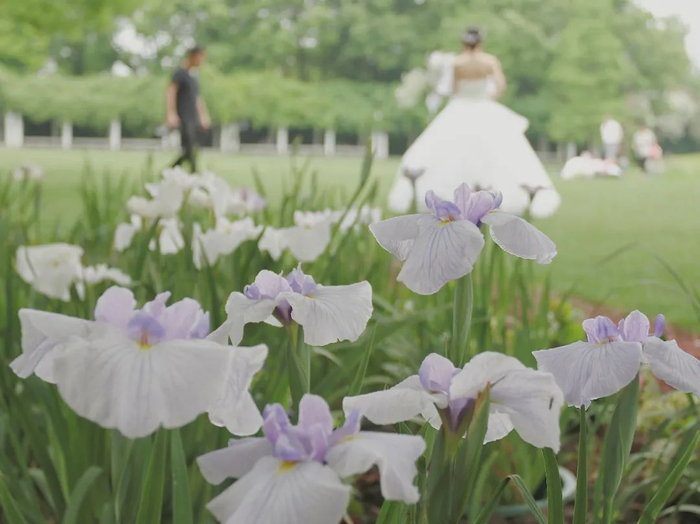 （图：闫二、李凯、于小等）