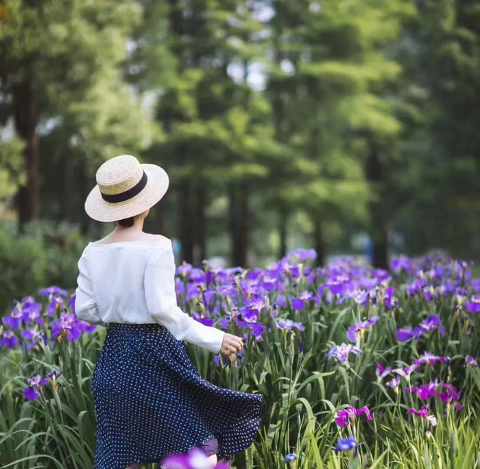 夏日限定浪漫，邂逅油画般的鸢尾花海