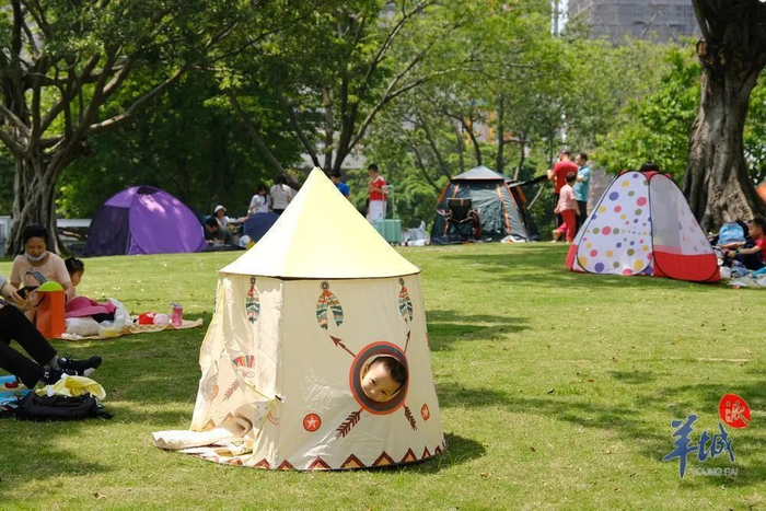 小朋友在草坪撒欢