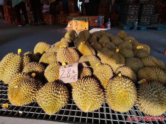 ▲一家果档销售的泰国金枕榴莲售价28元/斤   本报记者 覃锦华 摄