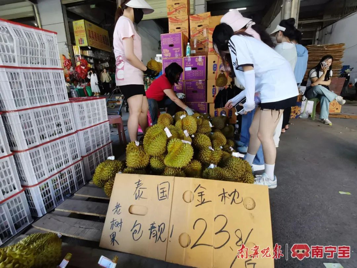 ▲市民在海吉星水果批发市场选购榴莲    本报记者  覃锦华 摄