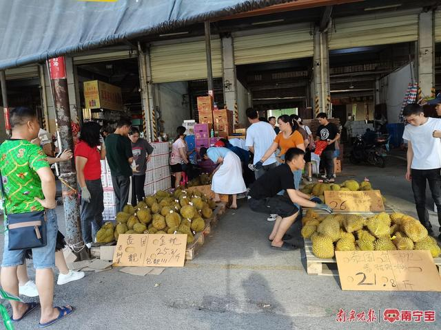 市民在海吉星水果批发市场内选购榴莲 记者 覃锦华 摄