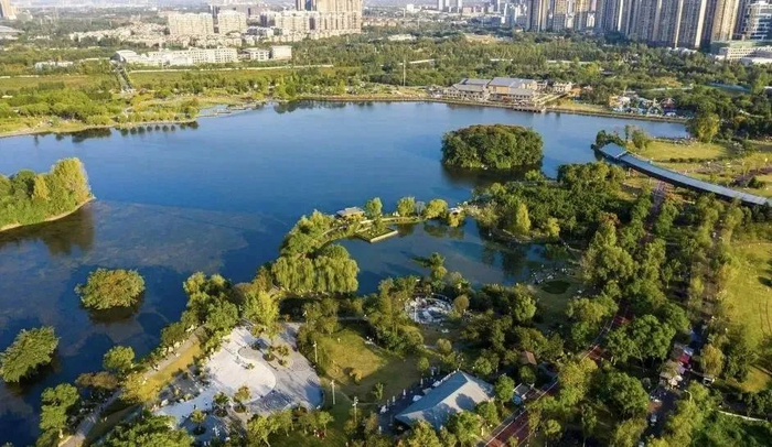 图源：成华发布