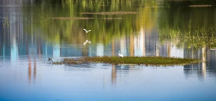 图源：成华发布