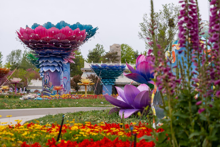 世园公园内，一丛丛各色牡丹花团锦簇，与炫彩花灯交相辉映。北京世园公园供图