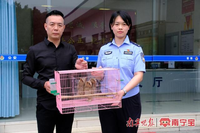 民警将3只幼鸟移交南宁市野生动植物保护站