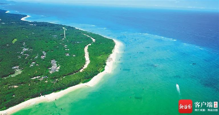 东郊椰林景区。丰收 摄