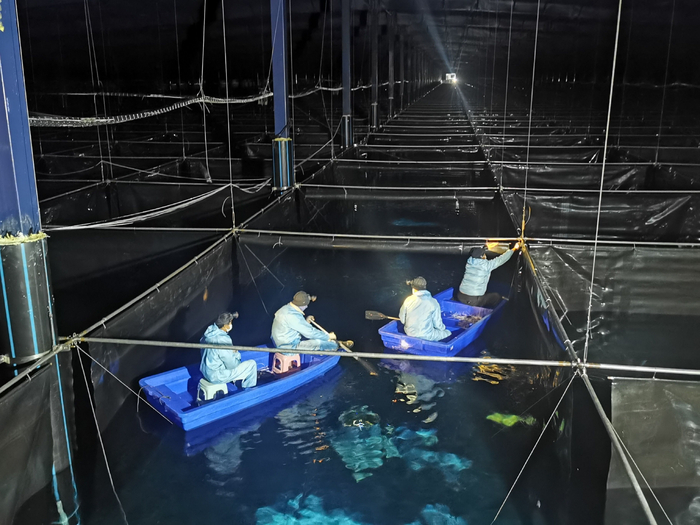 2020年12月11日，水切伦科夫探测器阵列三号水池注水后，工作人员下放隔光帘。中科院高能所供图