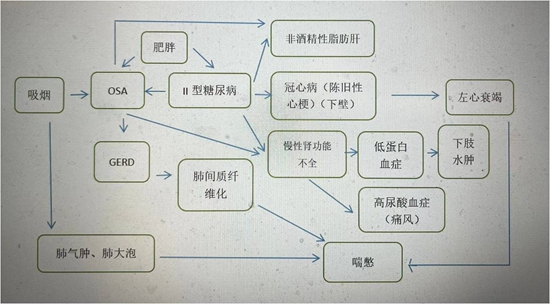     陆柯喜欢用绘图的方式来解释多种症状的关系，再整理出多个症状指向的有可能的疾病。受访者供图
