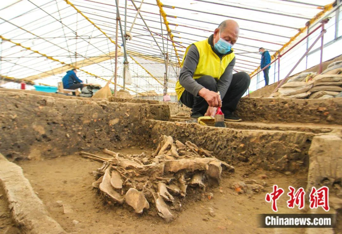 工作人员在河南南阳黄山遗址考古发掘现场进行清理作业。高嵩 摄