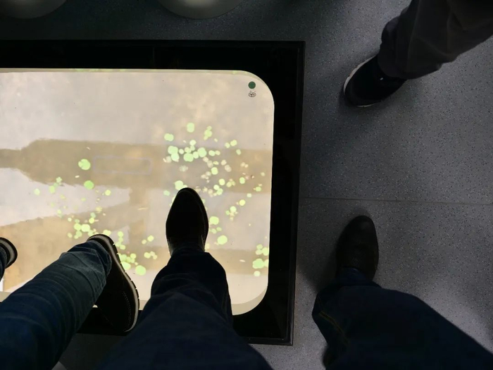 空轨列车走过池塘上空。张锐 摄