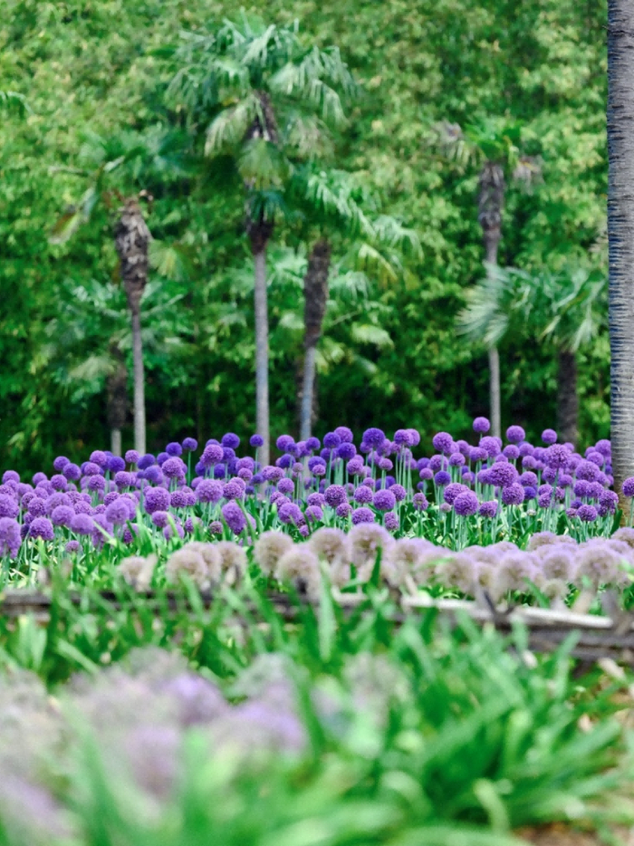 中乌全球葱园（昆明中心）