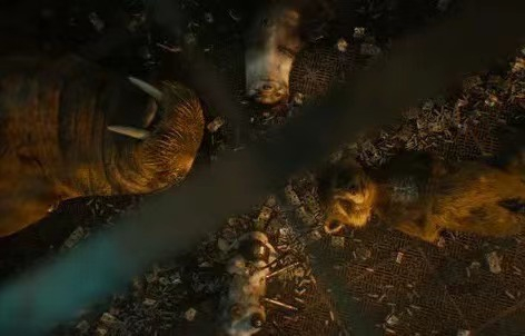 火箭与同为改造动物的伙伴们的每段闪回，都能完美抓住观众的情绪。（图/《银河护卫队3》）