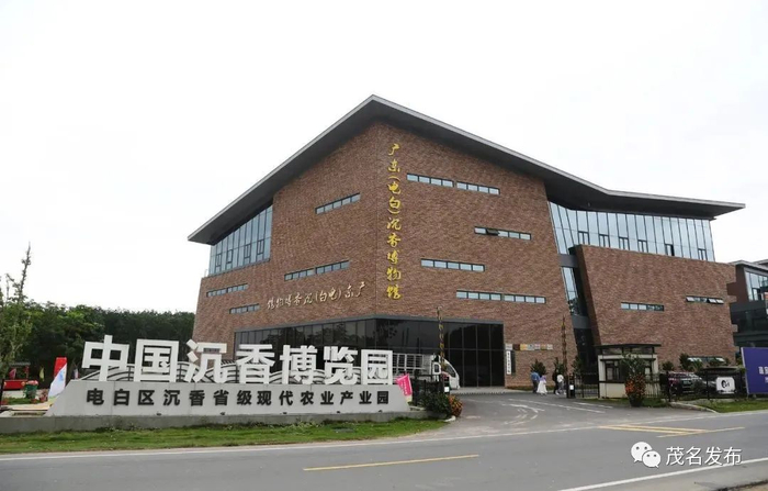 电白沉香博览馆。