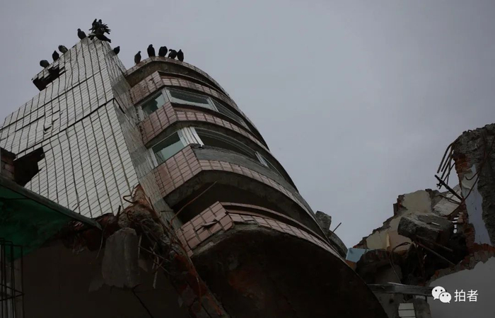 ▲2008年5月29日，北川擂鼓镇一栋倒塌的楼房顶上，一群鸽子仍然守候着曾经的家。摄影 / 李木易