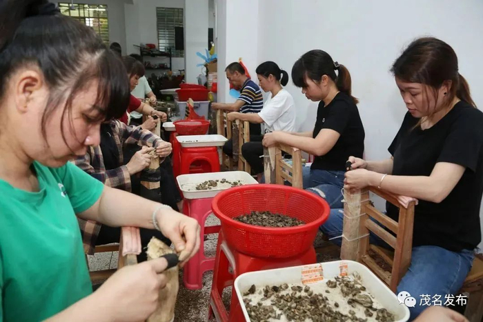 沉香材料加工。