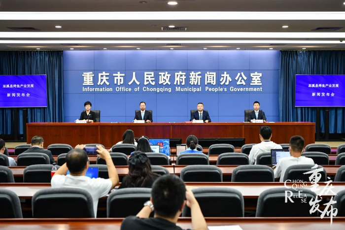 新闻发布会现场 邹乐 摄