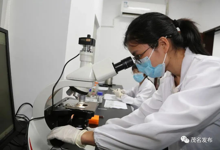 沉香显微鉴定室。