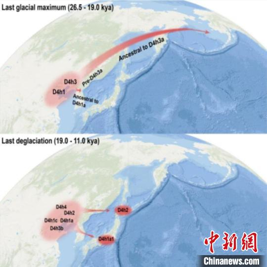 图为研究成果。中科院昆明动物研究所供图