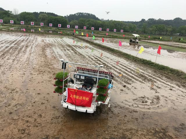 龙溪标准地内农户进行机械化水稻插秧工作。 农民日报·中国农网记者 丁乐坤 摄