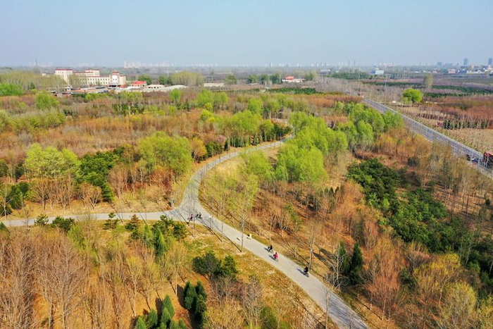 　这是雄安新区千年秀林（2023年3月30日摄，无人机照片）。新华社记者 牟宇 摄