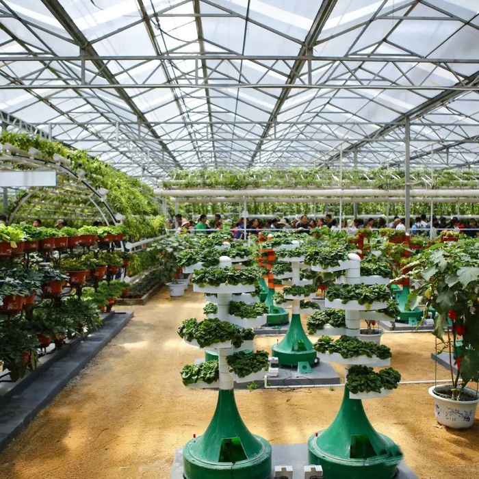 去寿光蔬菜博览会逛一逛就可以体验什么叫实现了“蔬菜自由”