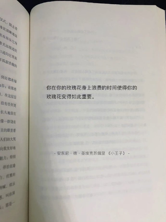 一些文案书摘,每一句都很戳人|书摘|文案|书单_新浪新闻