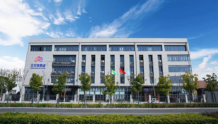 图片来源：三只羊网络抖音账号