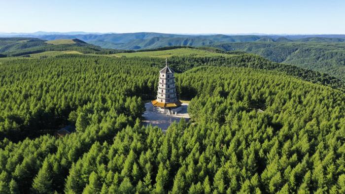 　　这是塞罕坝国家森林公园（2022年8月20日摄，无人机照片）。新华社发（刘满仓 摄）