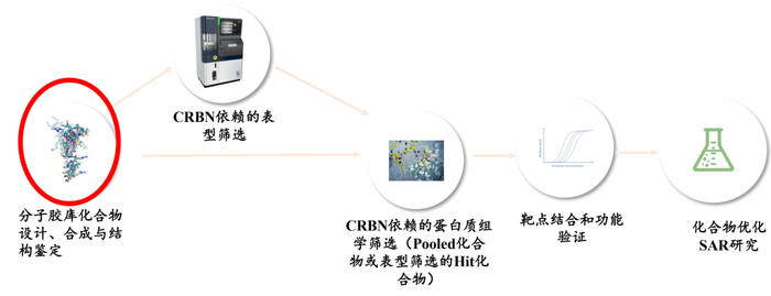 ▲图 4 | 分子胶的发现流程（来源：达歌生物）