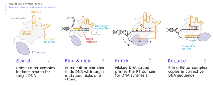 一文读懂！基因编辑未来趋势最新行业分析报告