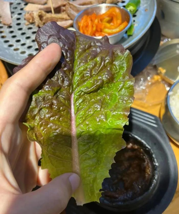 五花肉的靈魂搭配還得是吳氏包飯家的特色菜——海帶,海帶包飯吃起來