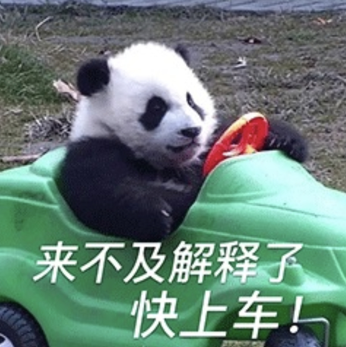 表情包来了 为你庆祝 差不多行了啊 给宁磕头了 在忙……|表情包_新浪