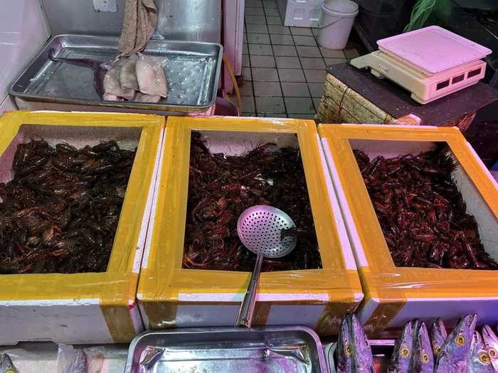 正在售卖的小龙虾