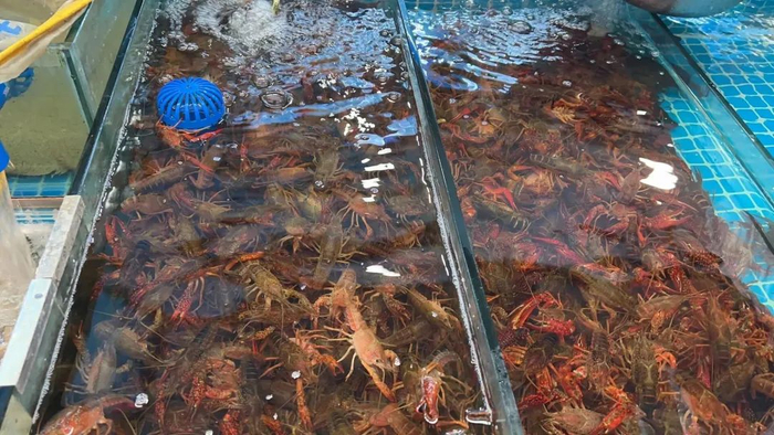 图自都市时报客户端