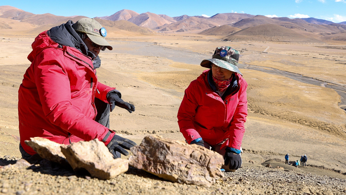  在定日岗嘠地区观察岩层中赋存的鱼龙化石（左：邓涛，右：尚庆华） 