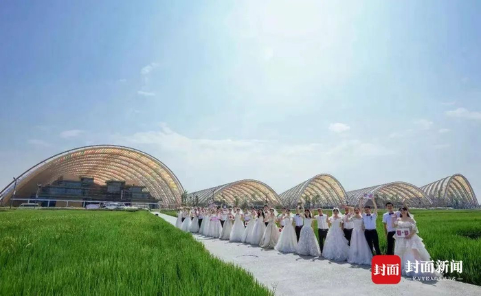 天府农博园婚姻登记处