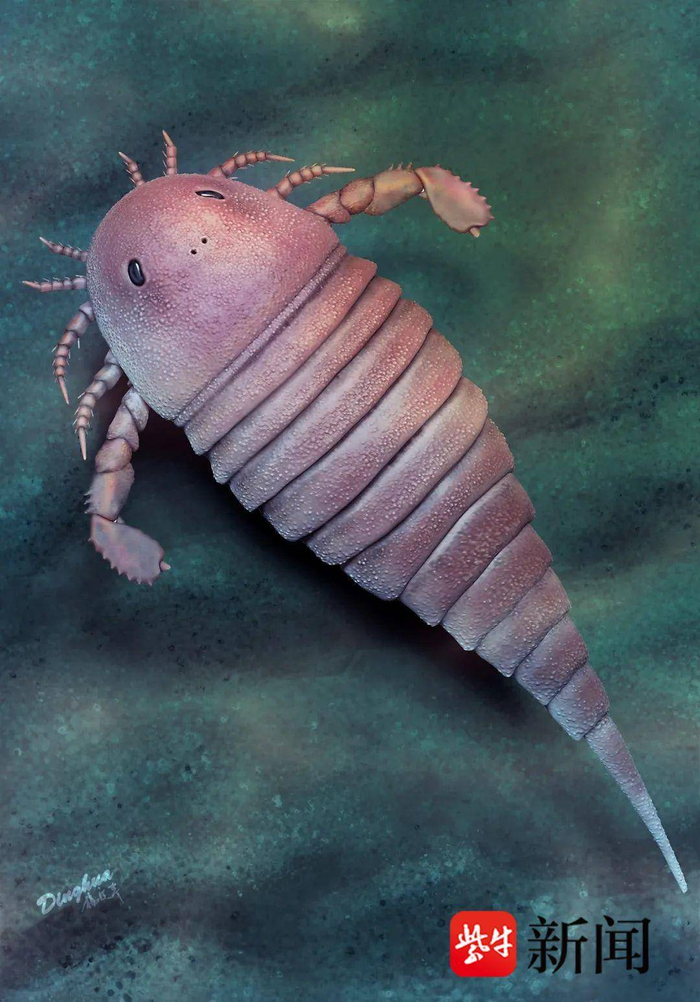 复原图：南京古生物所杨定华绘制