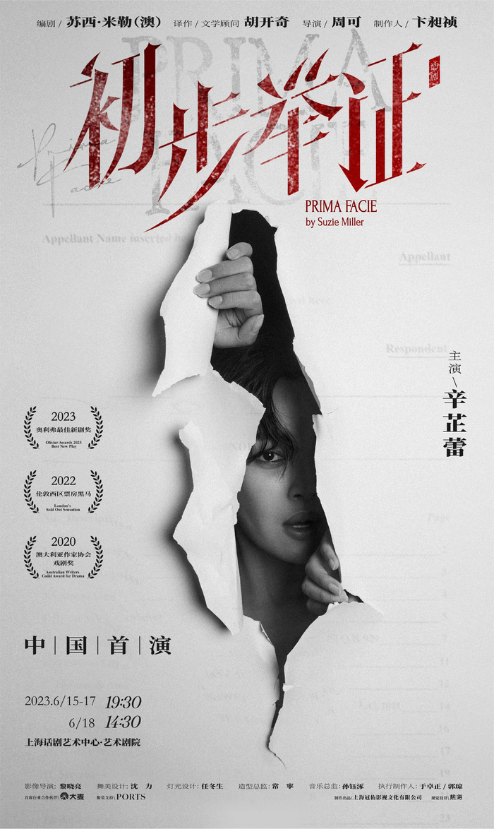 《初步举证》中文版海报