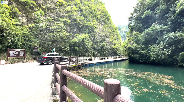 车辆上桥前，路边立着限速20公里/小时的标识牌