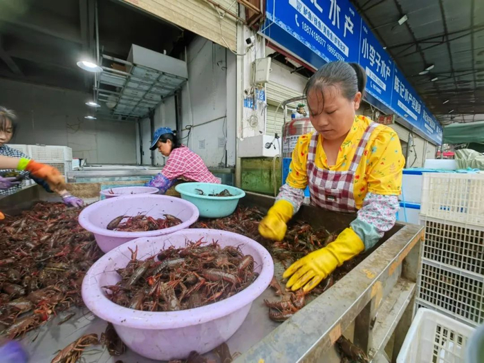 △市场里，选虾工正在分拣小龙虾。刘捷萍摄