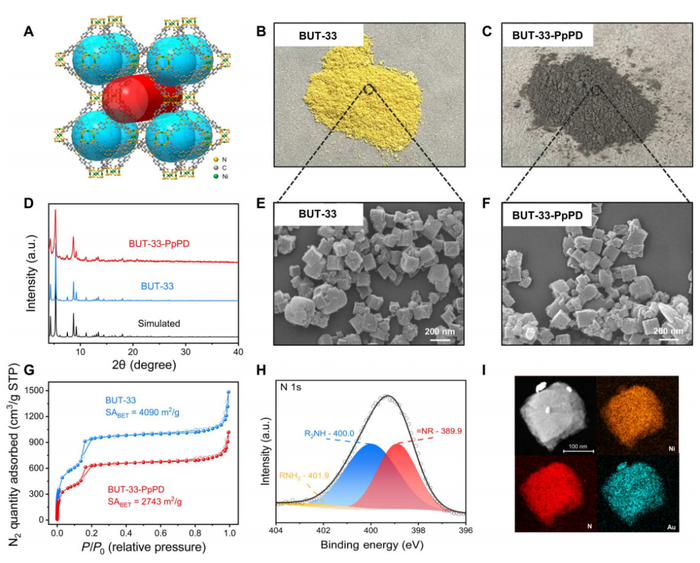 （来源：Science Advances）
