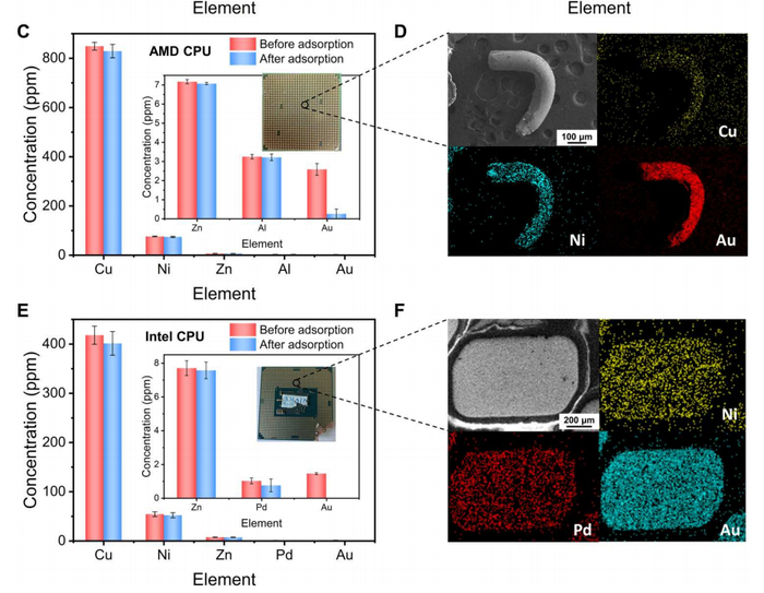 （来源：Science Advances）