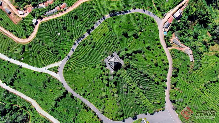 中华普洱茶博览苑