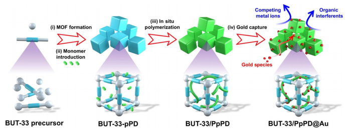 （来源：Science Advances）